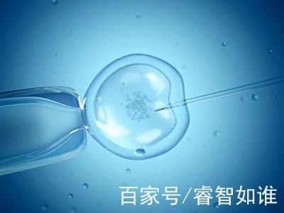 供卵代怀价格